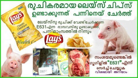 chips use pig fat, search google for the E631 code to find out more,