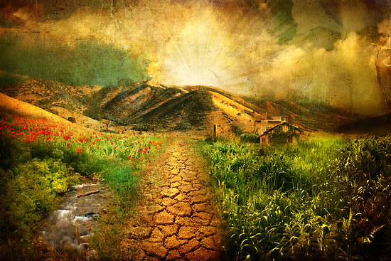 work39493702flat550x550075fjourney